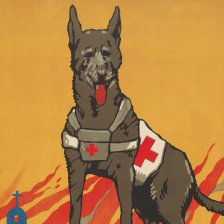 Armádní záchranářský pes.