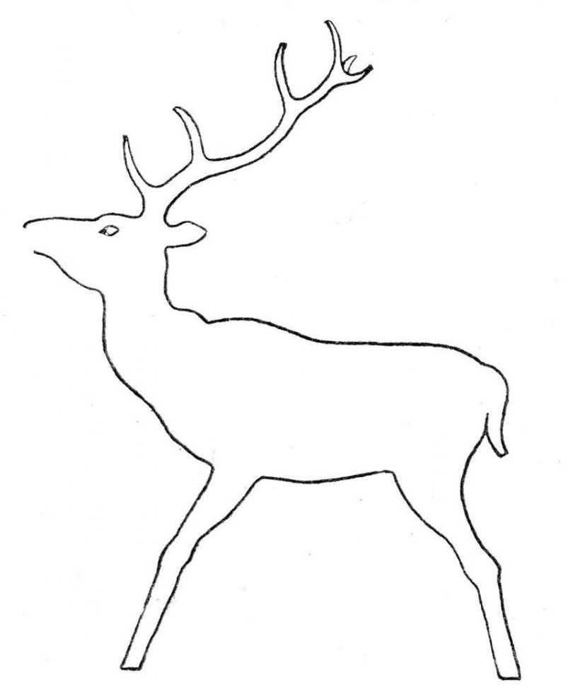 zobrazit detail historického snímku: Vzor pro jelena.