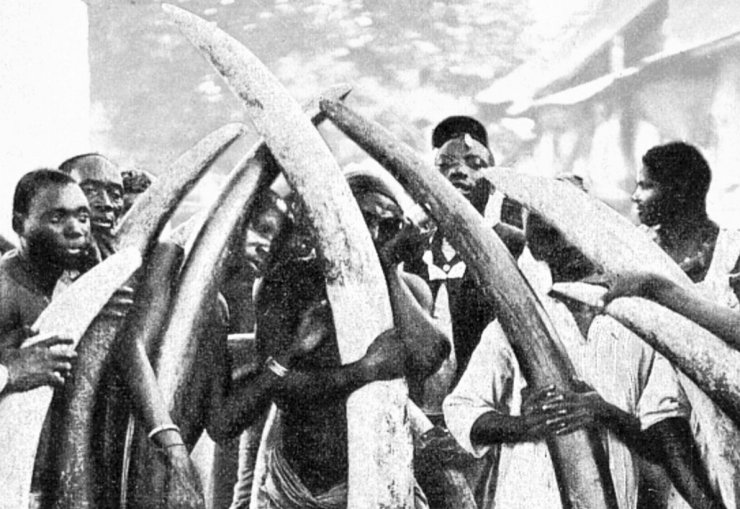 zobrazit detail historického snímku: Trh na sloní kly v africkém městě Tauga.