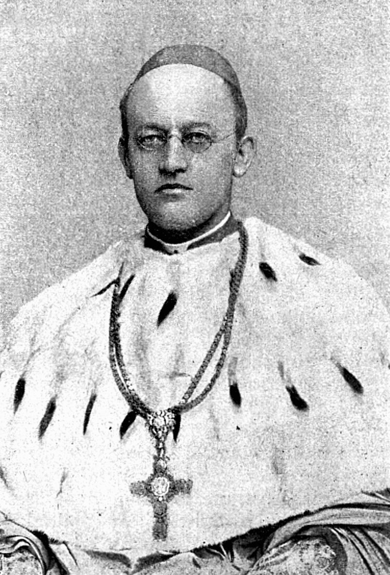 zobrazit detail historického snímku: Arcibiskup dr. Theodor Kohn.