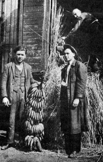 Vykládání banánů na pražském nádraží - klikněte pro zobrazení detailu Vykládání banánů na pražském nádraží - klikněte pro zobrazení detailu