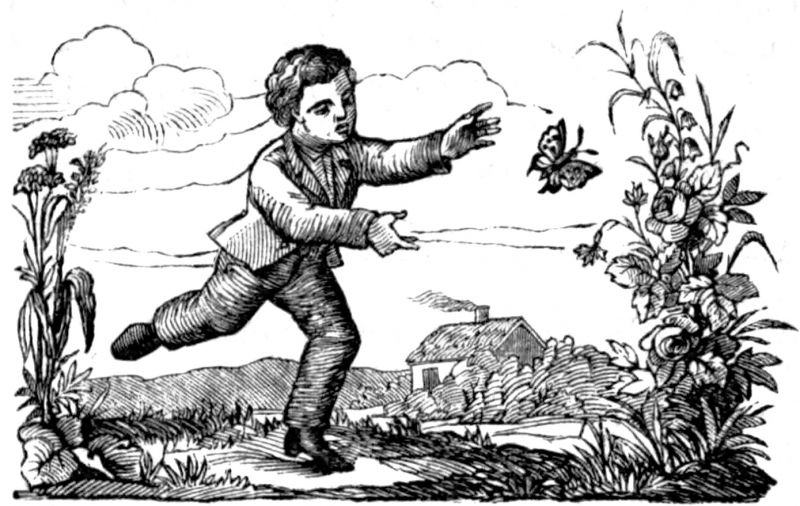 zobrazit detail historického snímku: Lov motýlů.