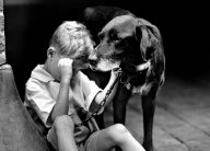 Emoce u zvířat: jak zvířata prožívají smutek a radost: Někteří lidé tvrdí, že zvířata nic jako...