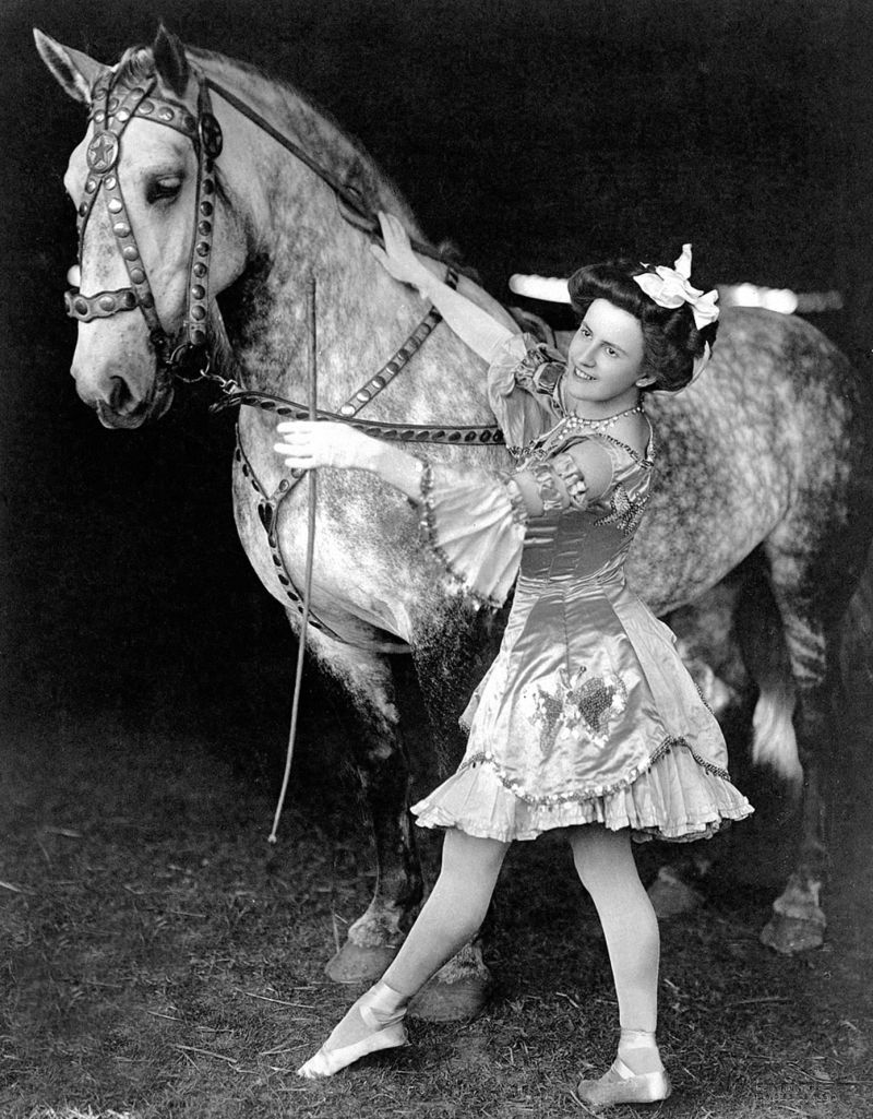 zobrazit detail historického snímku: Cirkusový kůň.