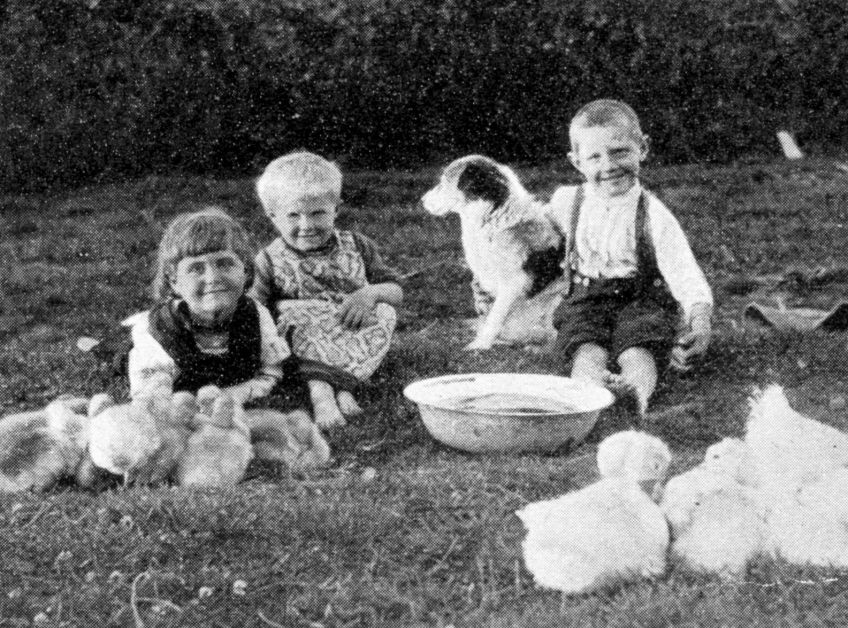 Český národ nevyhyne aneb o plodnosti Slovanů : Zajímavý výzkum, který vypočítává výbornou plodnost…