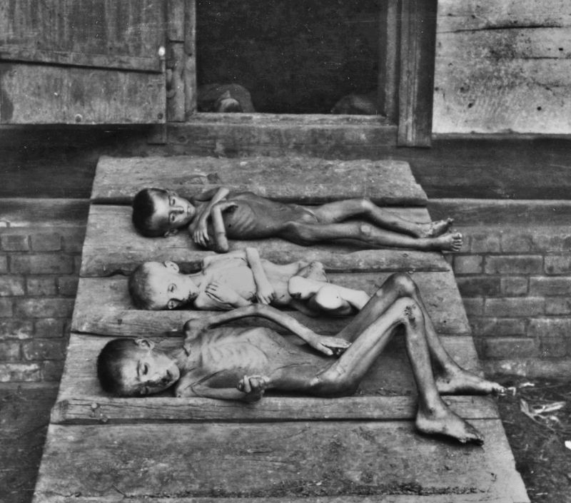 zobrazit detail historického snímku: Děti, které v Rusku zemřely hlady.