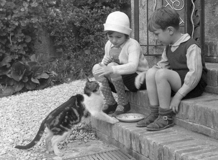 zobrazit detail historického snímku: Děti s kočkou.
