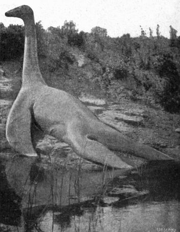 V Hagenbeck-ově předpotopním zvěřinci: Plesiosaurus. - klikněte pro zobrazení detailu