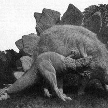 V Hagenbeck-ově předpotopním zvěřinci: Stegosaurus.