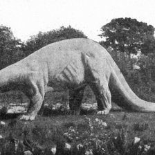 V Hagenbeck-ově předpotopním zvěřinci: Diplodocus.