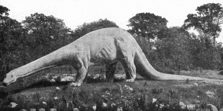 zobrazit detail historického snímku: V Hagenbeck-ově předpotopním zvěřinci: Diplodocus.