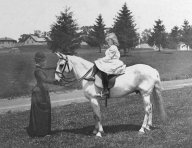 Musí ženy jezdit na koni na speciálním dámském sedle?: Jaké jezdecké sedlo je pro ženy a dívky ze…