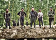 Jak se v roce 1893 kácelo a obchodovalo se dřevem?: Sledujete, jak se poslední dobou rozšířilo…