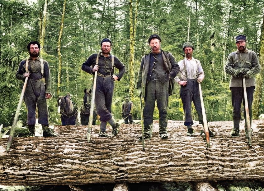 Rekordní částky zaplacené za dřevo zdánlivě obyčejných stromů Rekordní částky zaplacené za dřevo zdánlivě obyčejných stromů: Zajímá vás, jakou cenu může mít dřevo z vrby, dubu…