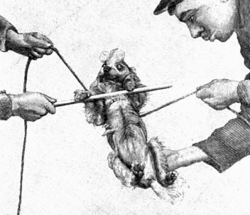 Cvičení psů pro cirkus. - klikněte pro zobrazení detailu