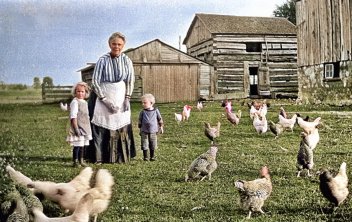 zobrazit detail historického snímku: Drůbeží farma.