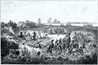 Cestovatel Dr. Emil Holub : Jméno cestovatele Emila Holuba (1847 - 1902) je v…