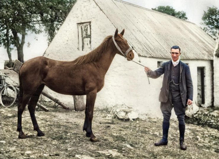 zobrazit detail historického snímku: Sedlák s koněm.
