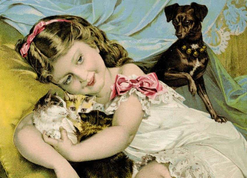 Je lepší kočka nebo pes? Karel Čapek vám poradí: Co to znamená žít spolu s kočkou nebo psem a jaký je…