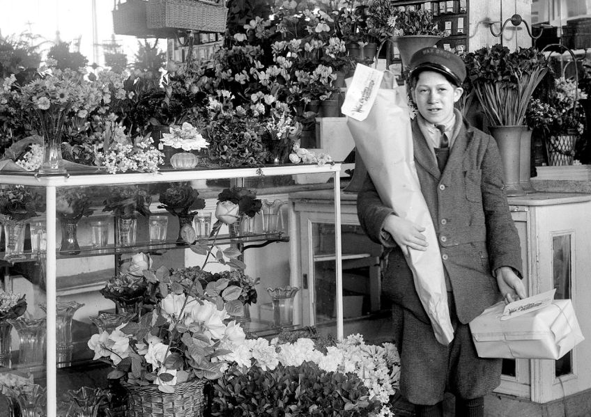 Tipy na květiny do vázy, které vydrží dlouho krásné Tipy na květiny do vázy, které vydrží dlouho krásné: Máte byt vyzdoben květinami ve váze? Nechte si…