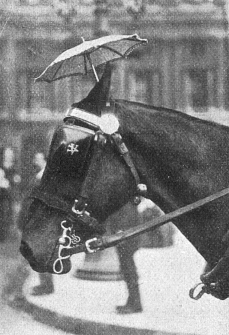zobrazit detail historického snímku: Slunečník pro koně v Paříži.