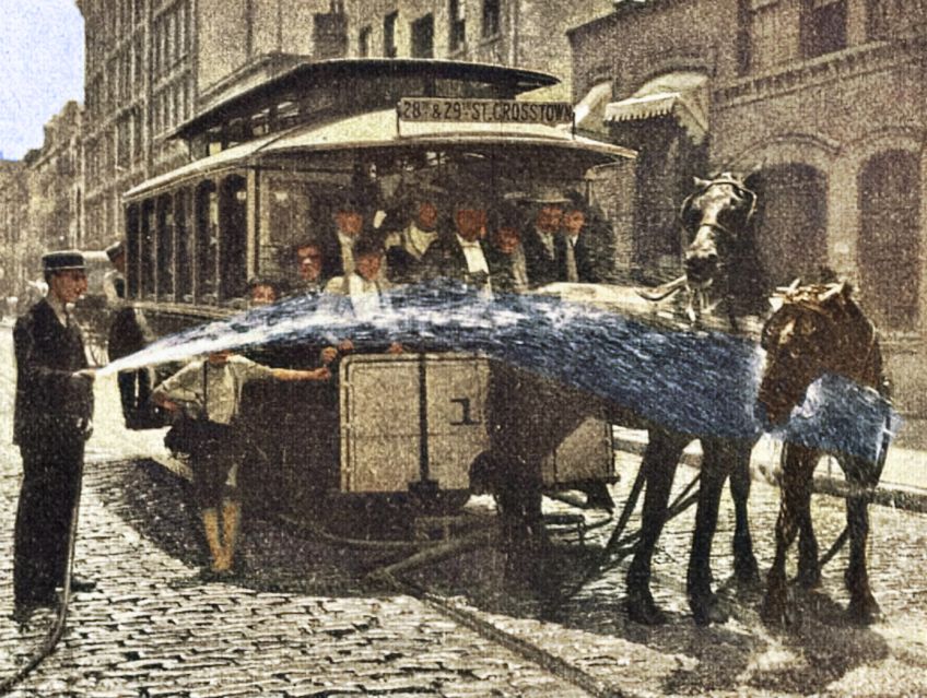 Péče o koně pracující v parném létě ve městě: Dnes je kůň ve městě už jen atrakcí pro turisty.…