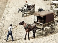 Jak změnit stáří nebo barvu koně? Poznejte podvodné triky starých koňských handlířů: Hodně lidí se jistě setkalo s nejrůznějšími…