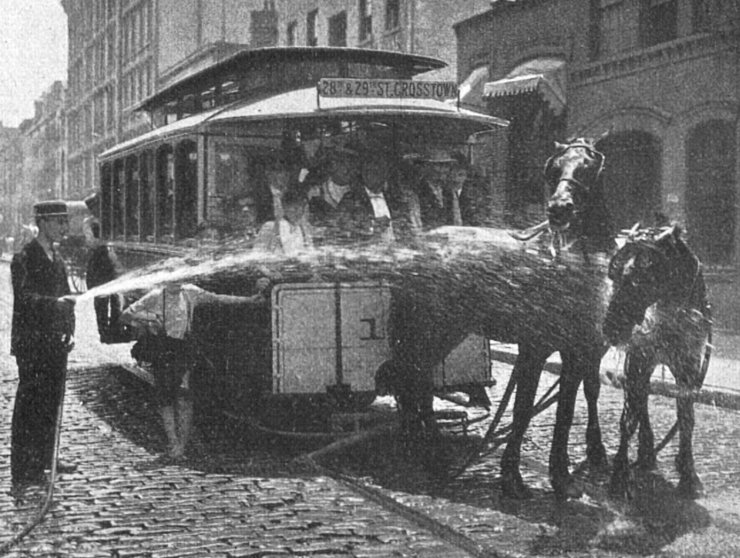 zobrazit detail historického snímku: Postřikování koní za vedra v New-Yorku.