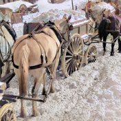 Rok 1939: Prahu opět zaskočil sníh, město nezvládá zimní údržbu