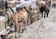 Rok 1909: Konec pluhování a odvážení sněhu, vše vyřeší elektřina!: K zimní sněhové nadílce neodmyslitelně patří…