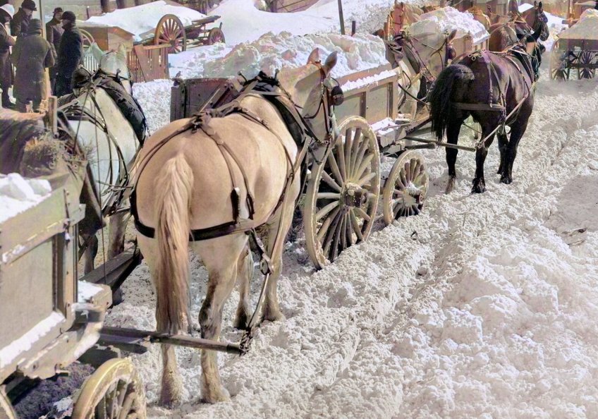 Koně, táhnoucí naložené vozy sněhem. - klikněte pro zobrazení detailu