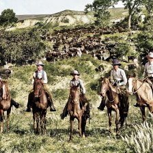 kolorovaná fotografie Cowboyové v Americe se svým stádem.