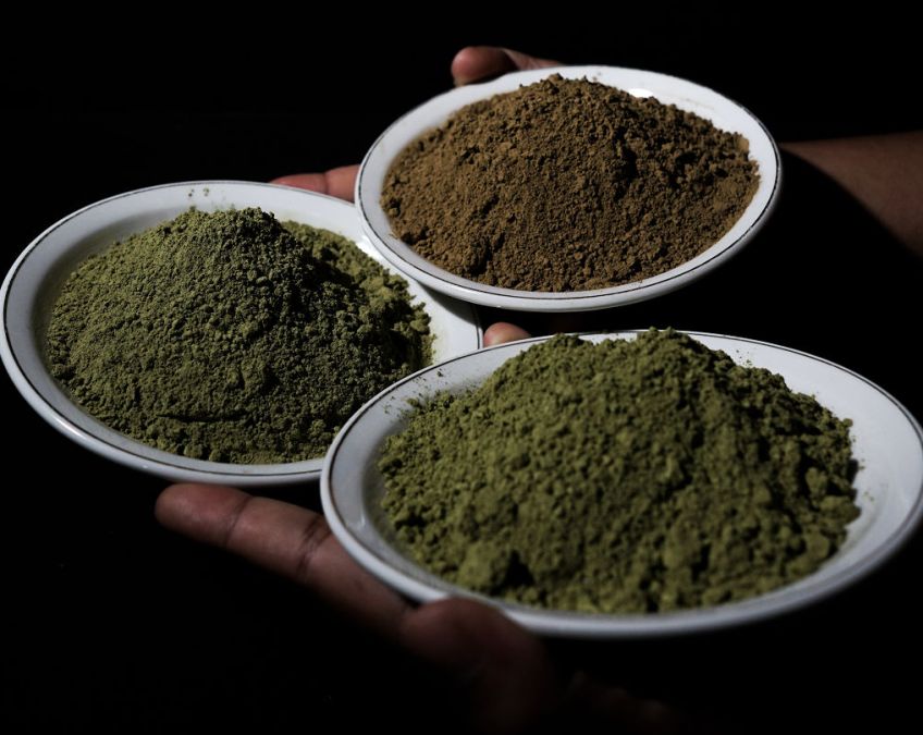 Co byste měli vědět o kratomu? Co byste měli vědět o kratomu?: Kratom není žádná rostlina, nýbrž prášek vzniklý z…