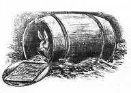 Originální a praktické řešení králíkárny: Chováte králíky? V tom případě se vám třeba…