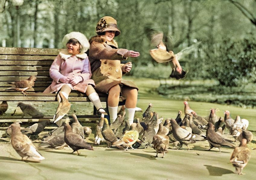 Rok 1907: Neuvěřitelný rekord poštovního holuba v pomalosti doručení zprávy Rok 1907: Neuvěřitelný rekord poštovního holuba v pomalosti doručení zprávy: Jestli máte občas problémy s doručováním poštovních…