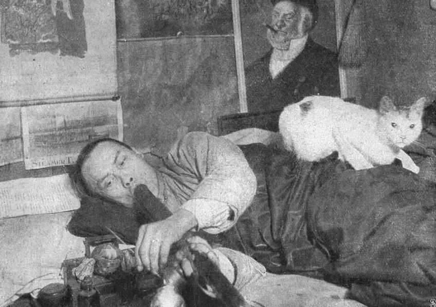 Kočka, která kouřila opium: Drogy užívají nejen někteří lidé, ale někdy i…