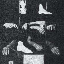 retro fotografie Zmramorované ruce a nohy lidské.