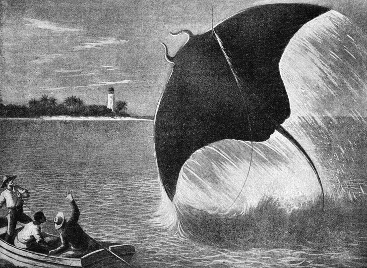 zobrazit detail historického snímku: Lov na mořského ďasa.
