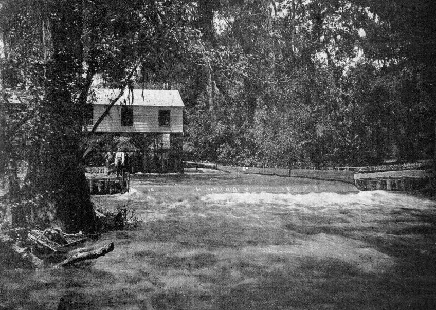 Jaké to kdysi bývalo na Lužnici? Jaké to kdysi bývalo na Lužnici?: Nejenom vodáky jistě zaujme, jak historický článek z…