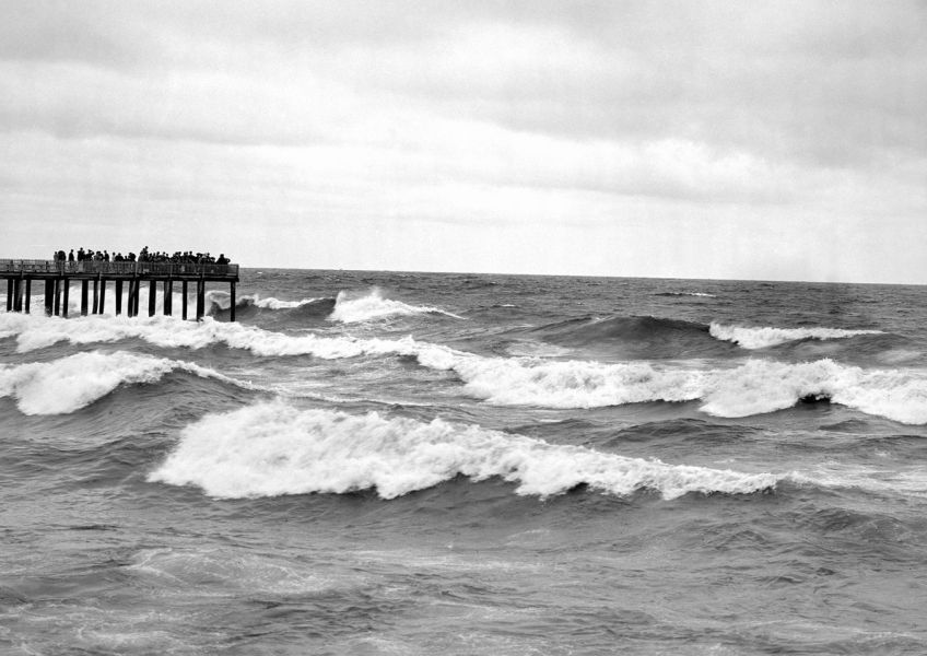 Jak to končí, když se po moři posílají falešné vzkazy v láhvi : V případě ztroskotání na pustém ostrově uprostřed…