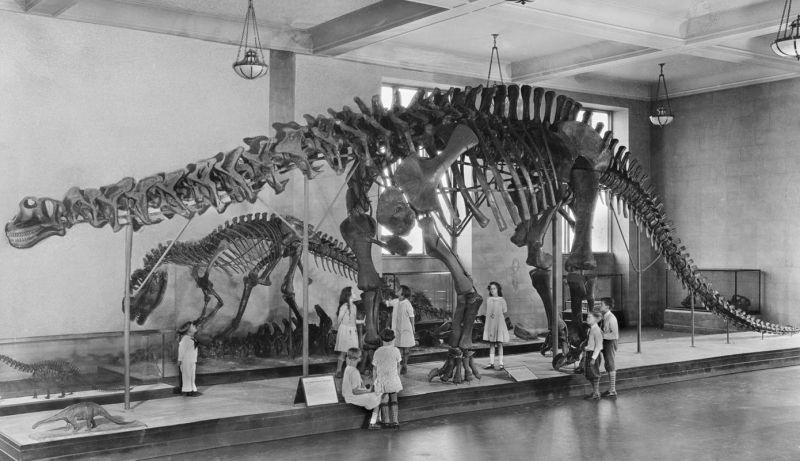 zobrazit detail historického snímku: Děti, zkoumající v muzeu kostru brontosaura.