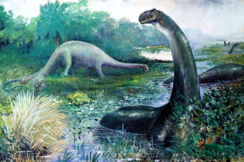 Rok 1923: Trest pro učitele za výuku evoluce nebo šíření ateismu ve škole: vysoká pokuta a vězení Rok 1923: Trest pro učitele za výuku evoluce nebo šíření ateismu ve škole: vysoká pokuta a vězení: Většina lidí bez ohledu na dosažené vzdělání přijímá…