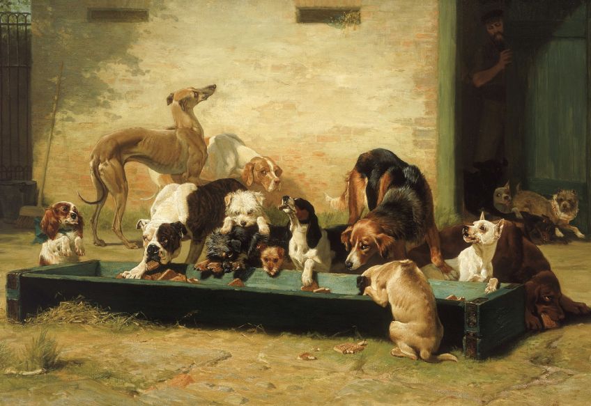 Rok 1911: Proč policie v Rusku vyslýchala mluvícího psa?: Může cirkusový mluvící pes představovat tak vážné…