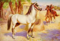 Legenda o nejušlechtilejších arabských koních, kterým požehnanal Mohamed: Arabský plnokrevník je dodnes mezi milovníky…
