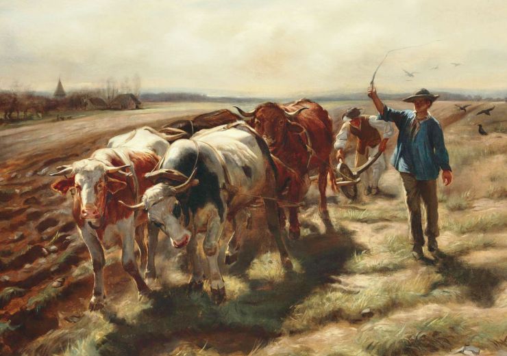 zobrazit detail historického snímku: Orba s volským potahem.