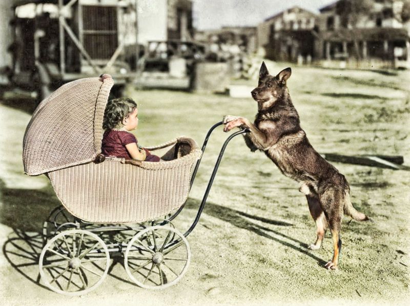 Ilustrační obrázek: Malé děvčátko v kočárku a její psí hlídač. - klikněte pro zobrazení detailu