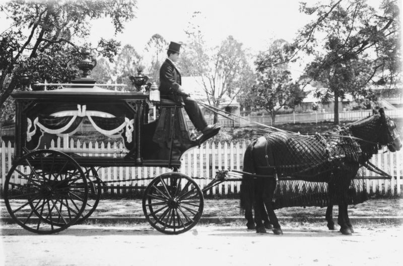 zobrazit detail historického snímku: Smuteční vůz.