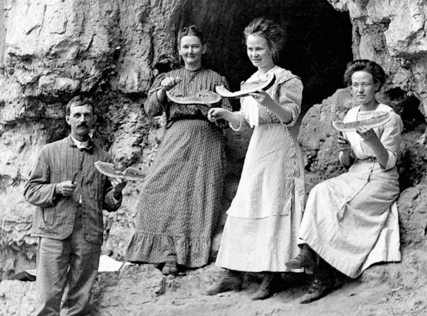 Historické recepty na osvěžující meloun na maďarský způsob a ovoce v koňaku Historické recepty na osvěžující meloun na maďarský způsob a ovoce v koňaku: Zní vám zajímavě mražený meloun s koňakem nebo ovoce…