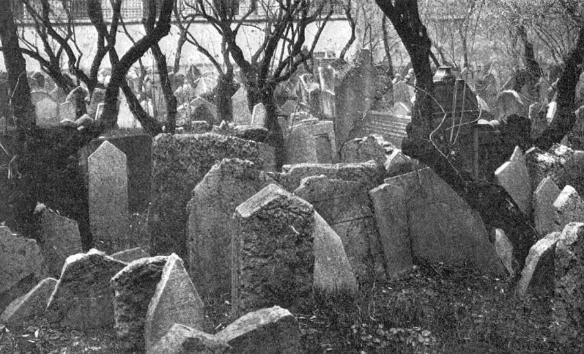 Staré náhrobní kameny na Židovském hřbitově. - klikněte pro zobrazení detailu
