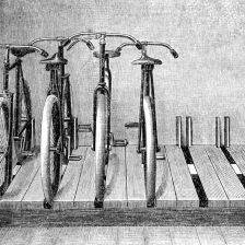 Dopravní zařízení bicyklů podle Pettigrewa.